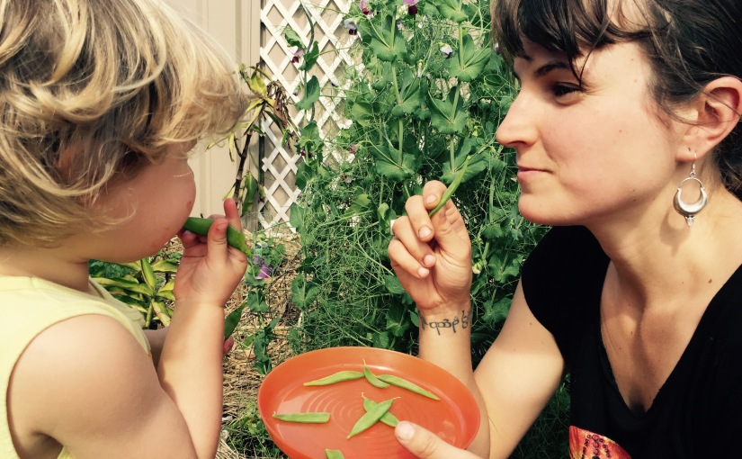 Have Fun With Vitamins – Kids Gardening