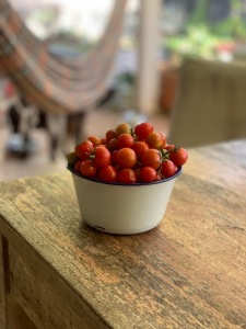 organic tomatoes